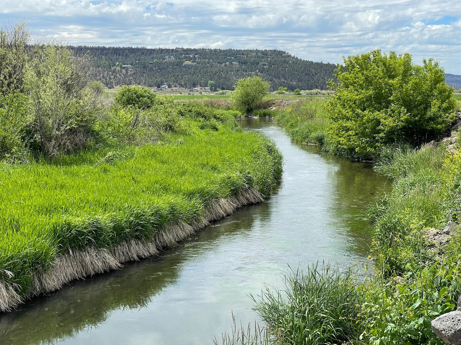 landscape of a stream with greenery on the banks. A hill in the distance.