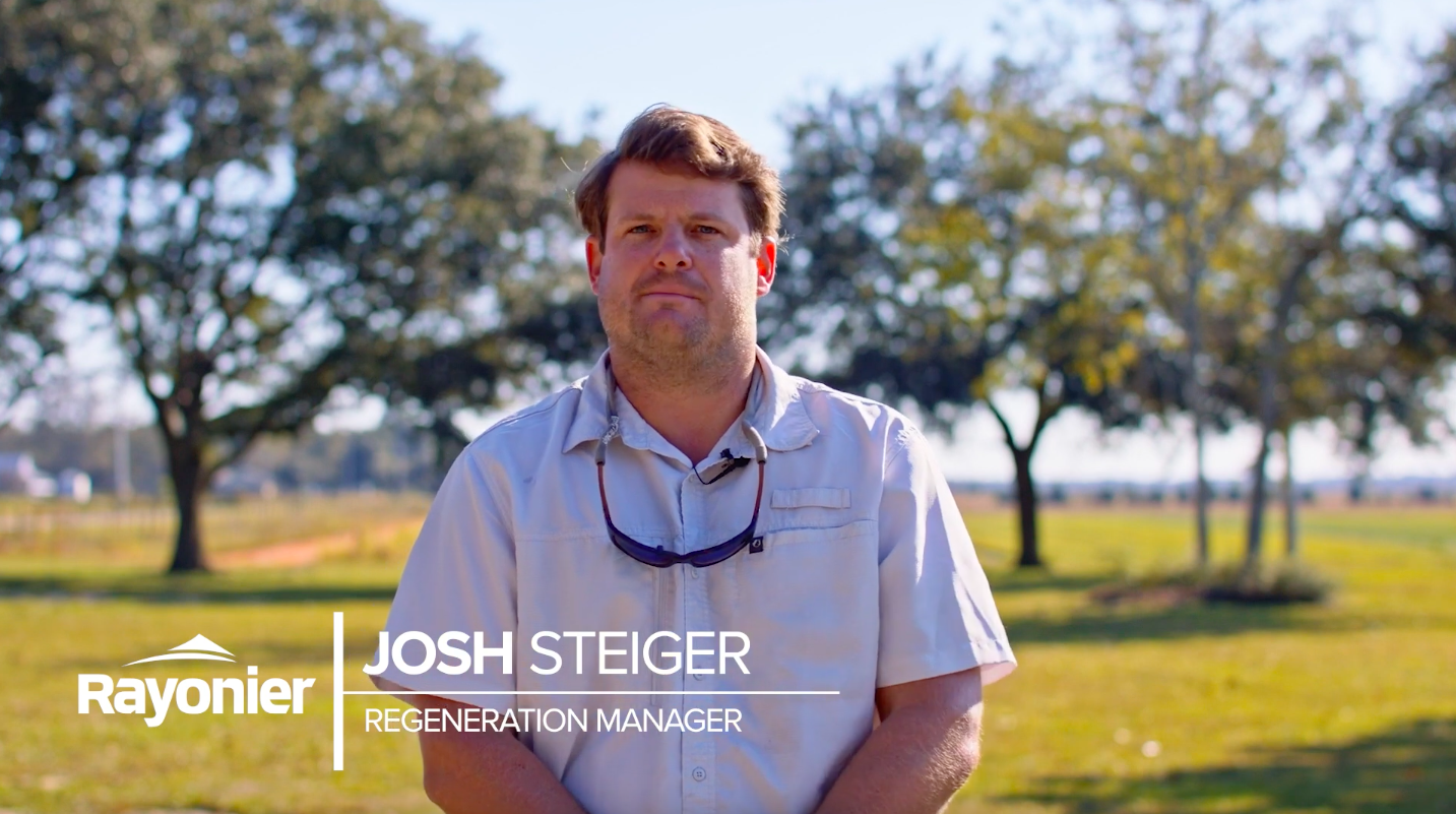 Rayonier Regeneration Manager