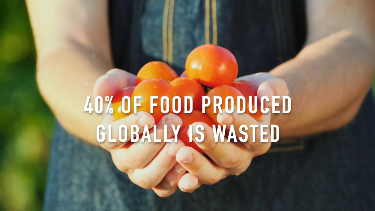 Two hands holding produce. "40% of food produced globally is wasted.
