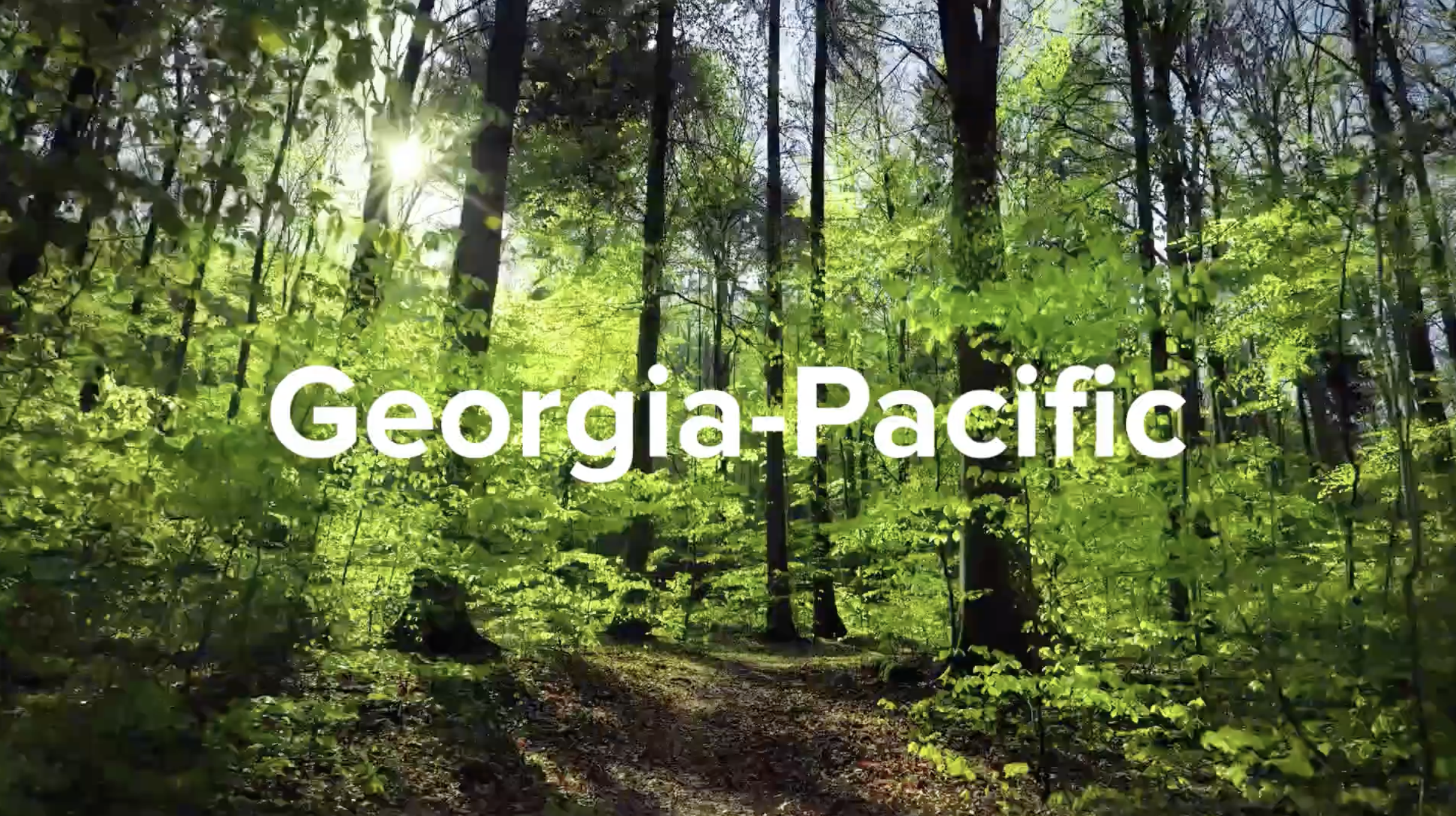 "Georgia-Pacific" text on image of forest