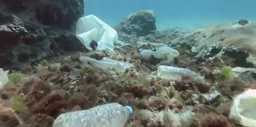 Plastic bottles on the floor of a shallow body of water.