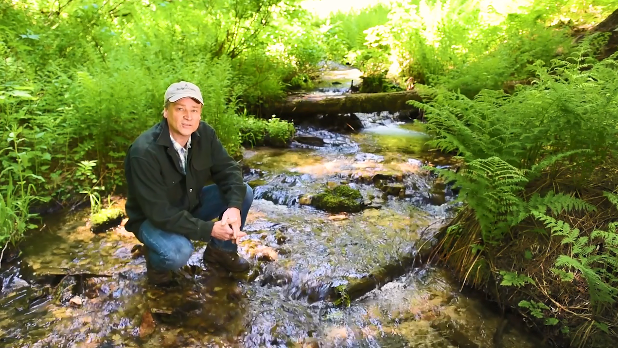 A person crouched down in a creek