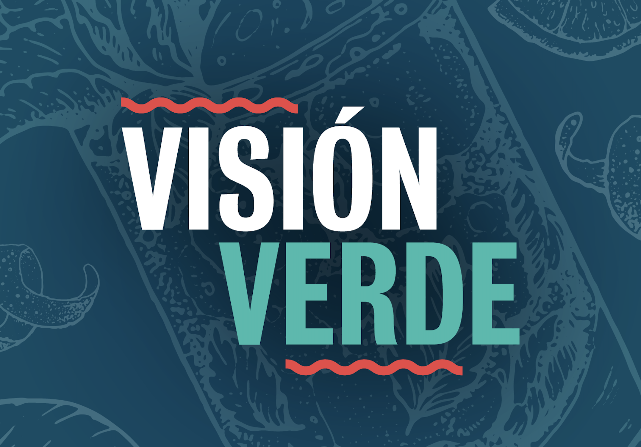 Vision Verde logo on an illustrated background 