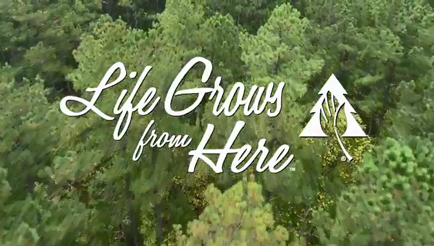 "Life Grows From Here" over an aerial view of a forest.