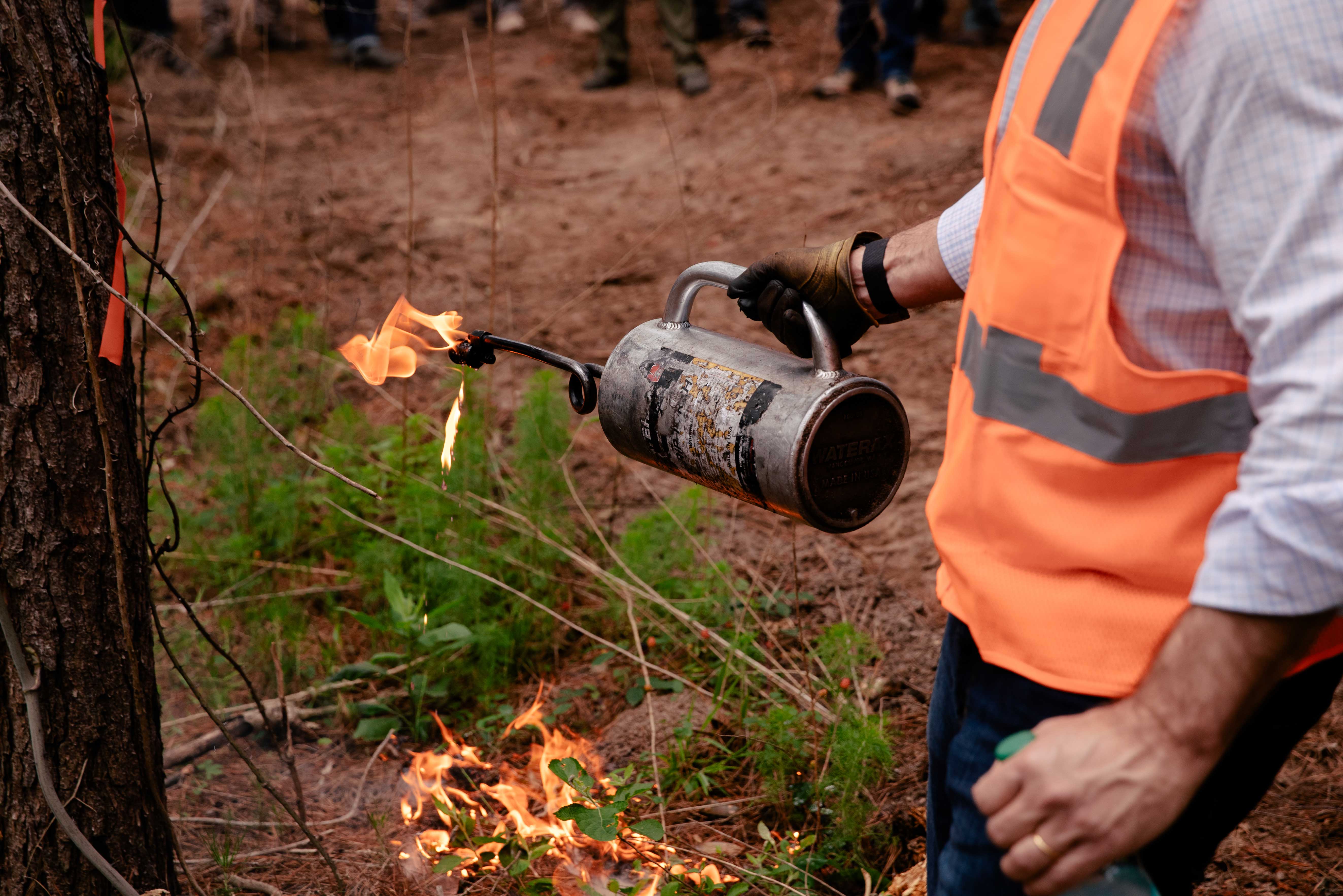 According to the newly released 2024 Sustainability Report on TIG’s core North America portfolio, more than 8,000 acres of Caddo Sustainable Timberlands  – TIG’s platform company in Texas – have been treated with prescribed fire, doubling the original target and demonstrating both commitment and scalability.