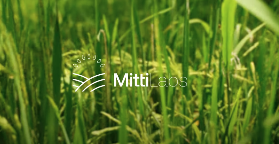 MittiLabs