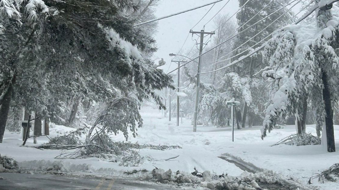 A snowy street with downed trees