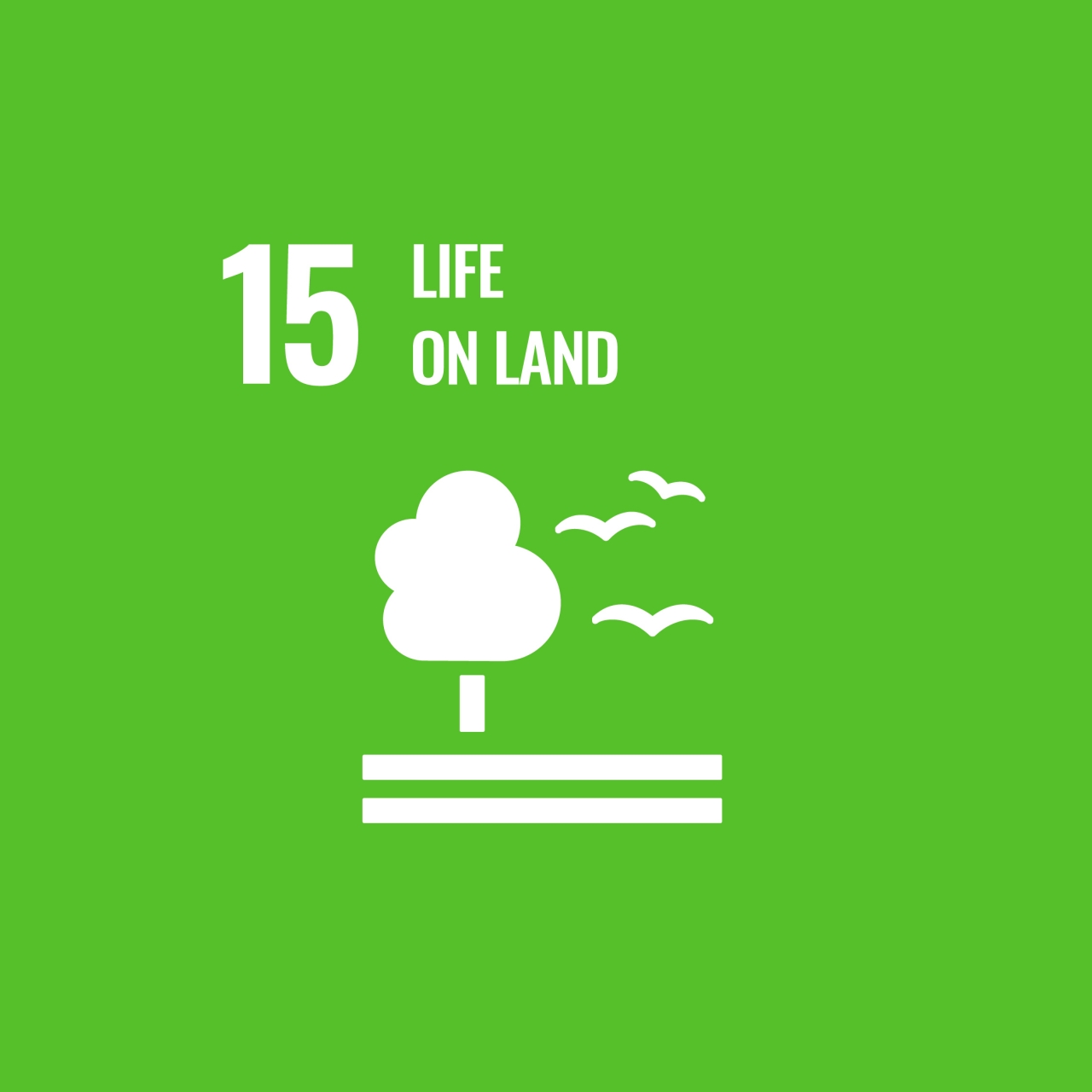 Journal of lifestyle and sdgs review