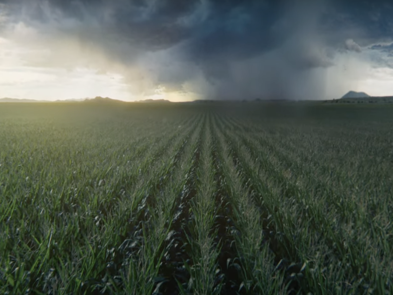 crop field