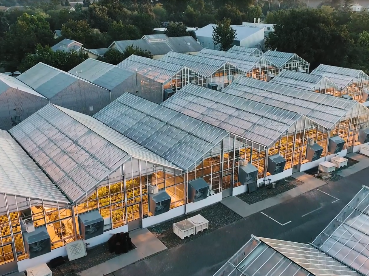 Aerial view of a large complex of greenhouses