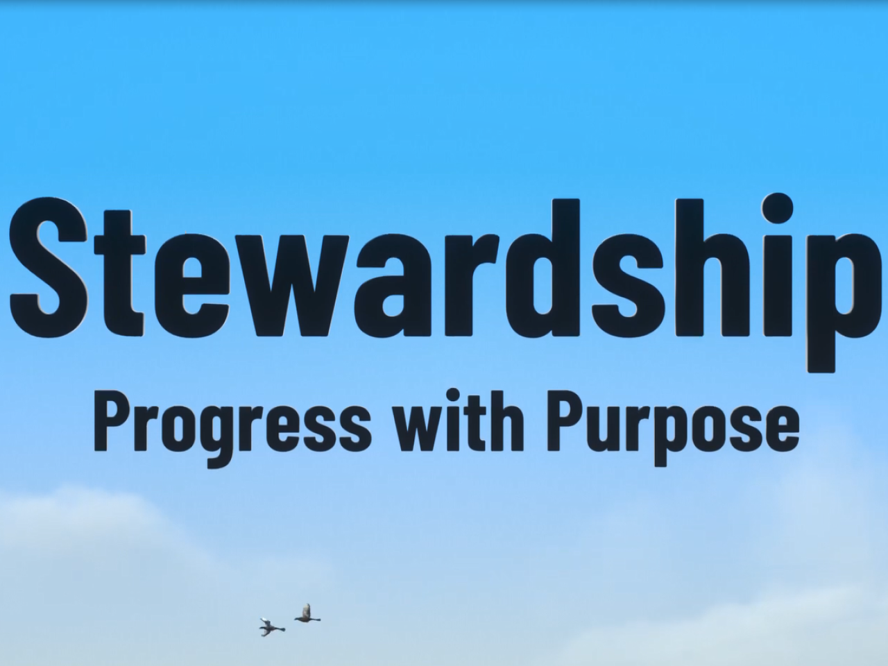 Over a background of a blue sky with two birds in flight: "Stewardship Progress with Purpose."