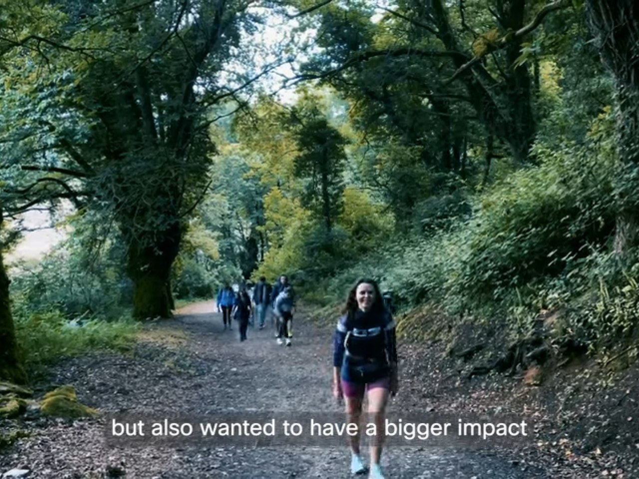 people hiking on a forest trail