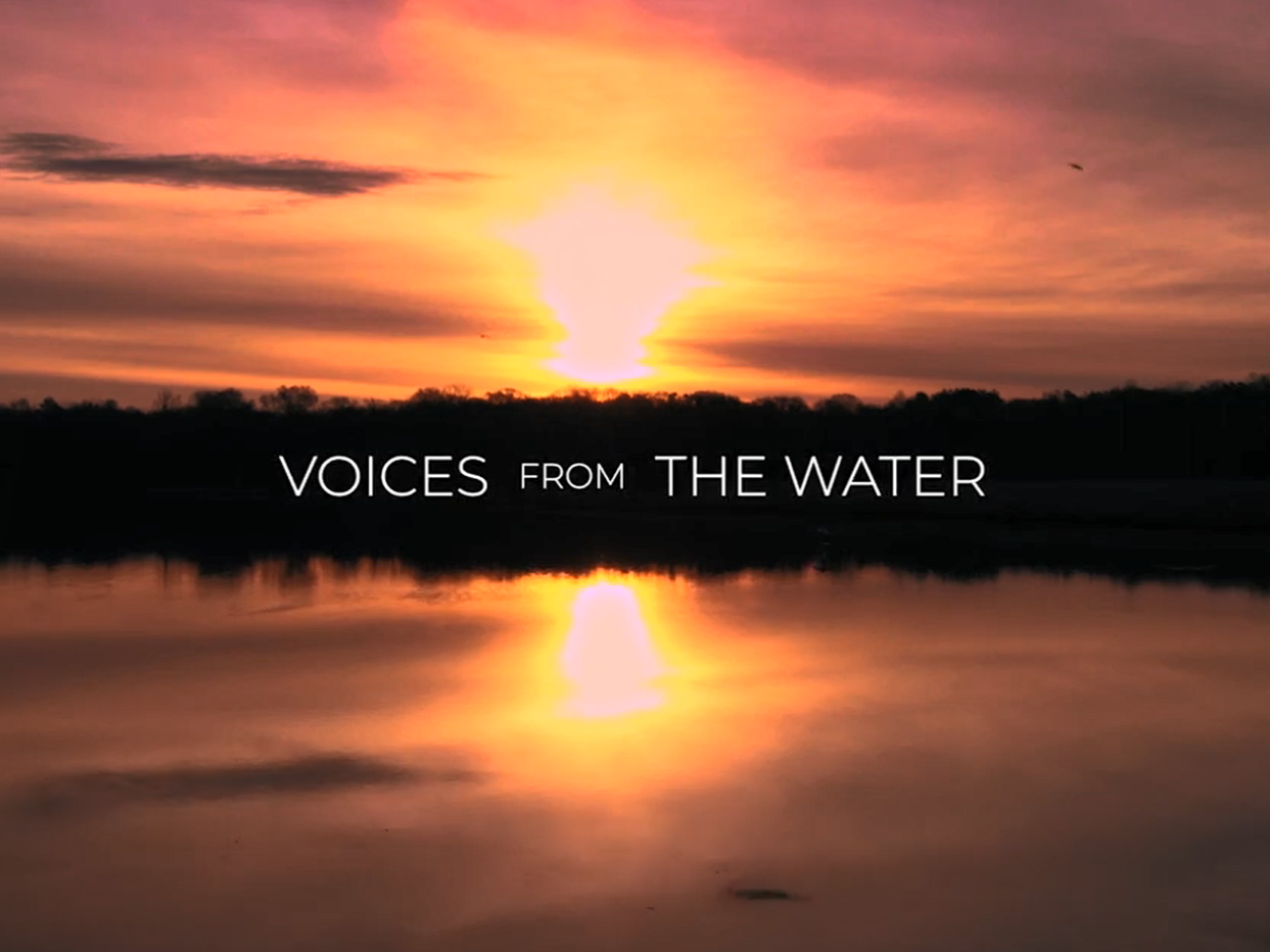 "Voices from the water" on a background of an expanse of water reflecting trees on a horizon at sunset.