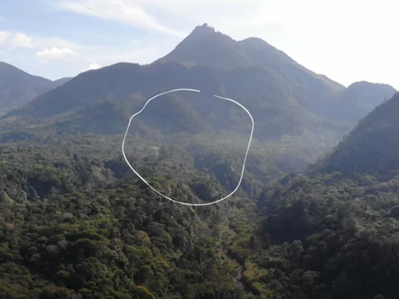 Thumbnail - Video - An Audacious Plan to Save the Worlds's Most Vital Forests