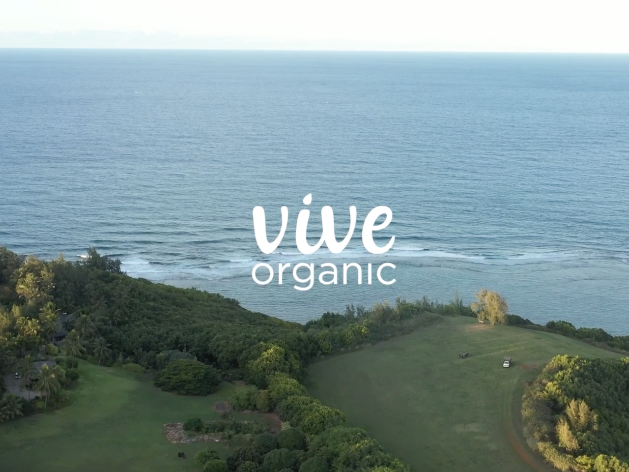 vive organic with ocean background