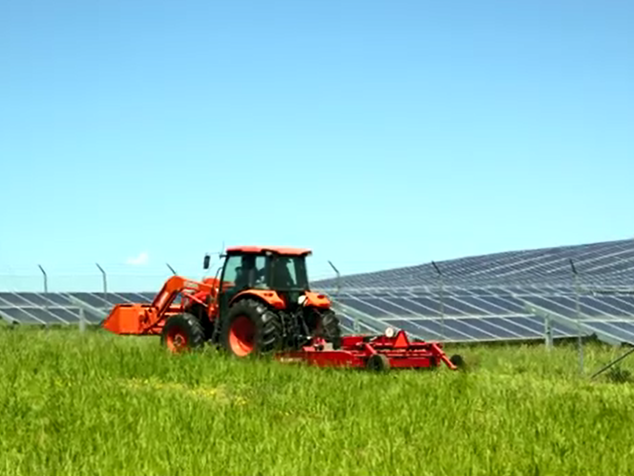 Large red tractor mowing a field next to a solar farm.