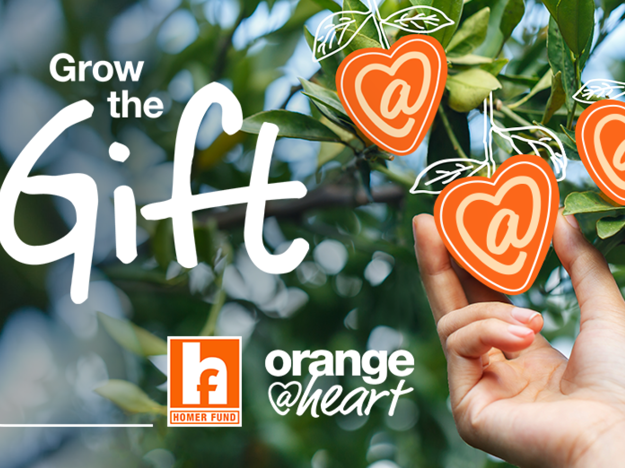 Grow the Gift; Orange at heart. The Homer Fund.
