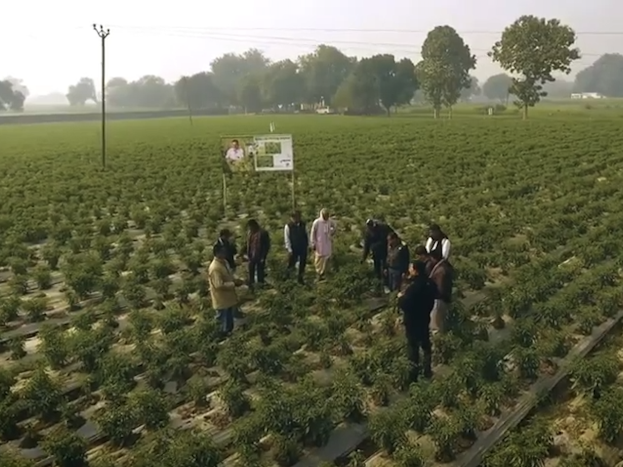 People stood near a sign in a field