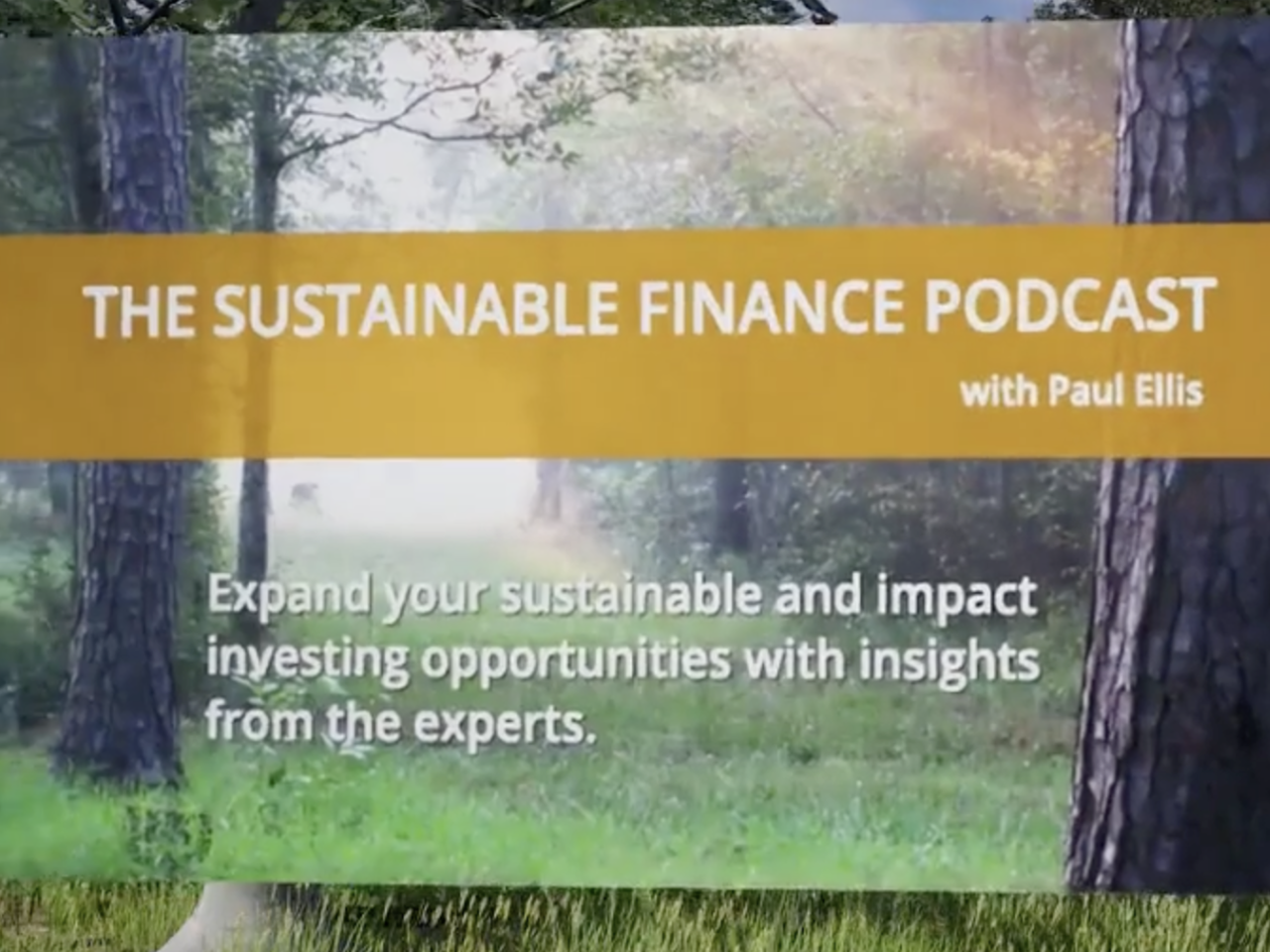 "sustainable finance podcast with Paul Ellis"