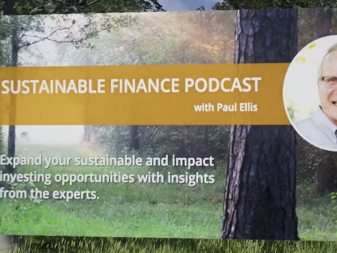 Sustainable Finance Podcast with Paul Ellis thumbnail