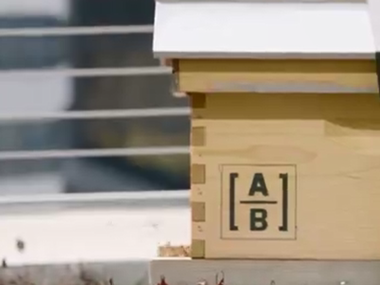 Wooden beehive with AB logo on the side.