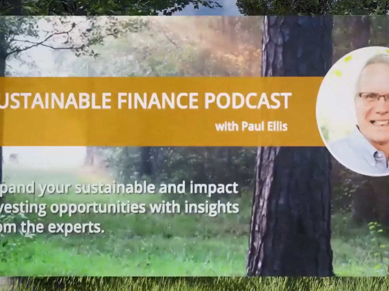Sustainable finance podcast with Paul Ellis