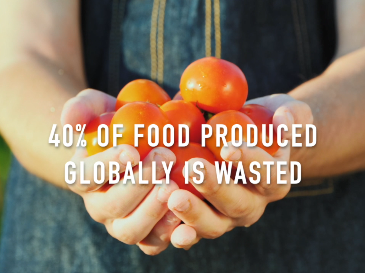 Two hands holding produce. "40% of food produced globally is wasted.