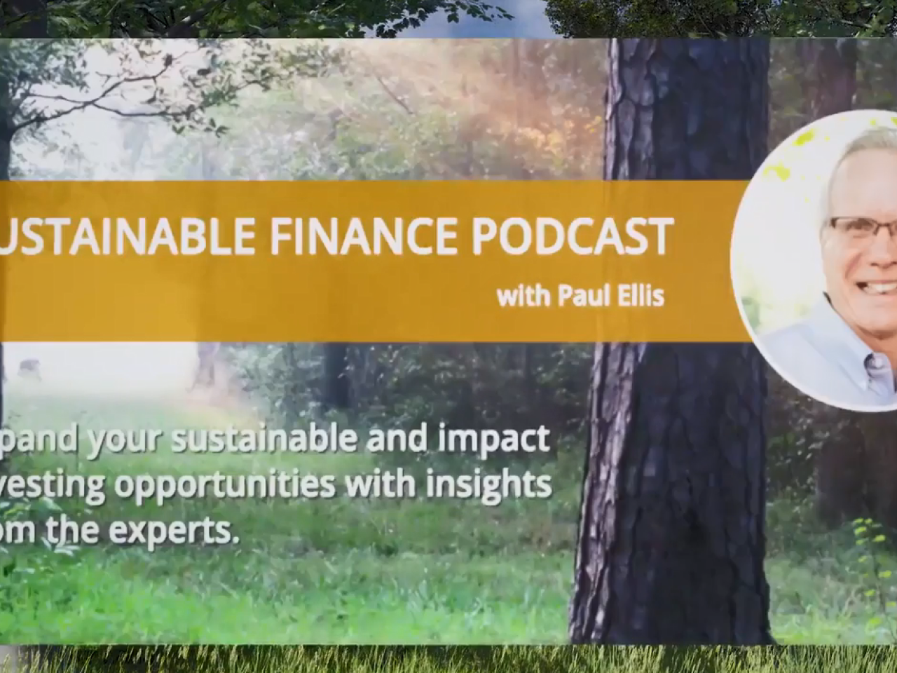 Sustainable finance podcast with Paul Ellis