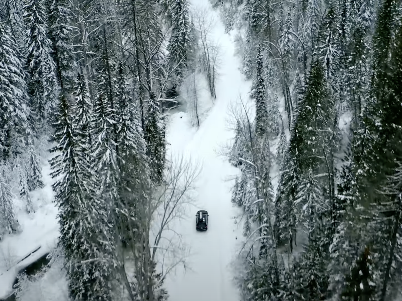 road through snowy forest