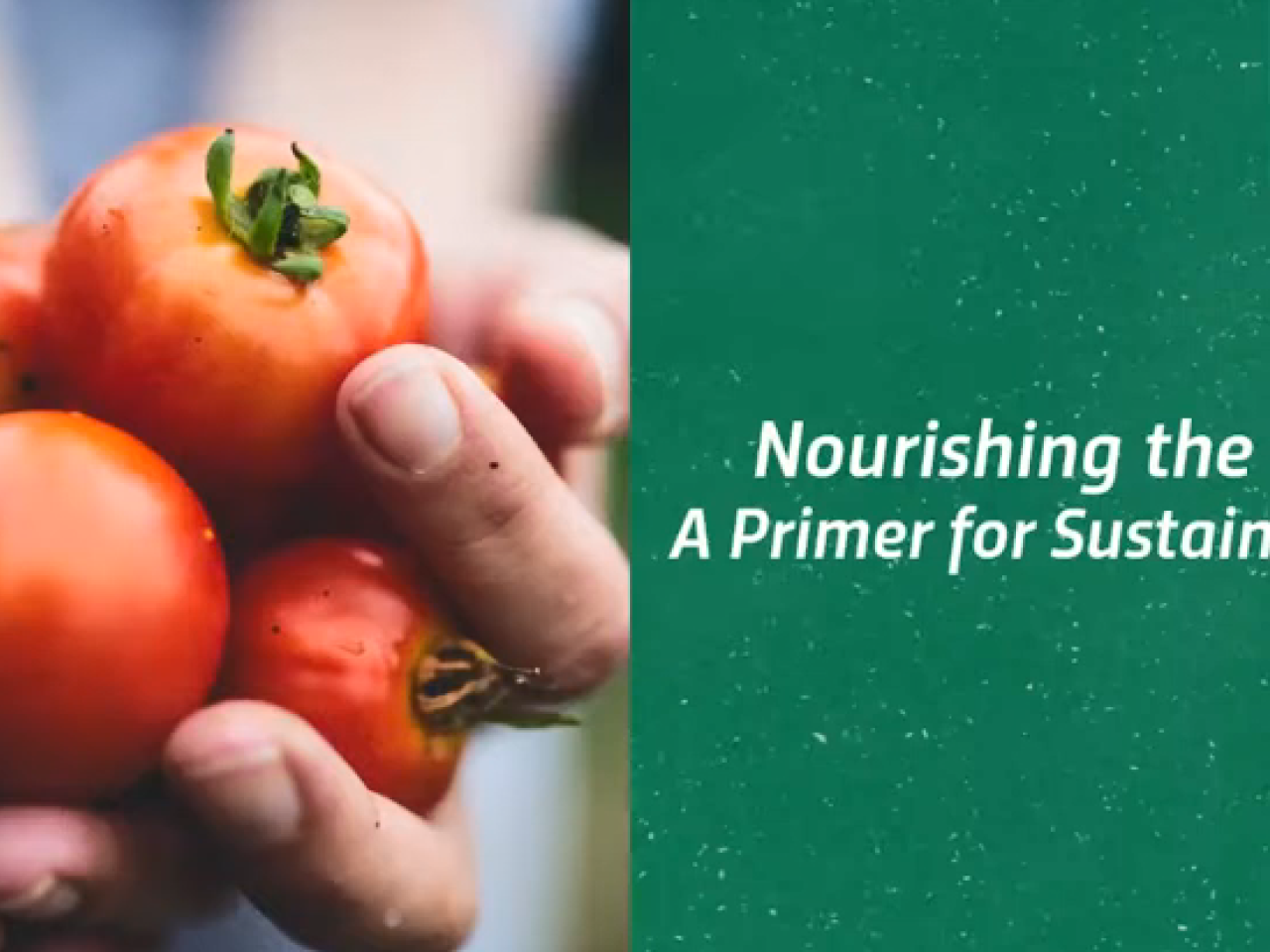 "Nourishing the World" and a hand holding small tomatoes.