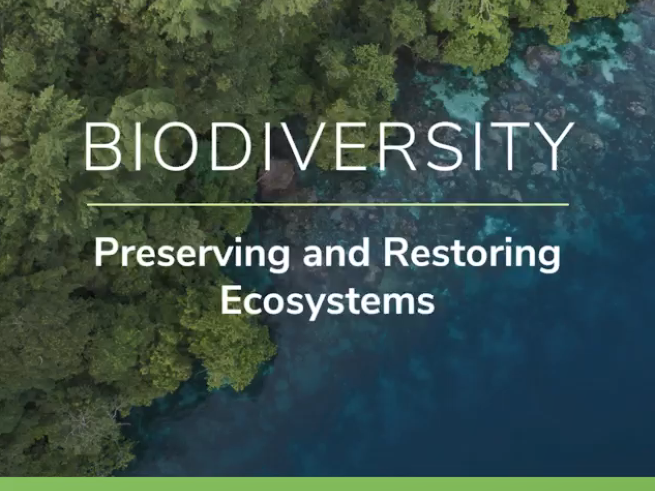 "Biodiversity: Preserving and Restoring Ecosystems" and Whirlpool logo over an aerial view of a shoreline.