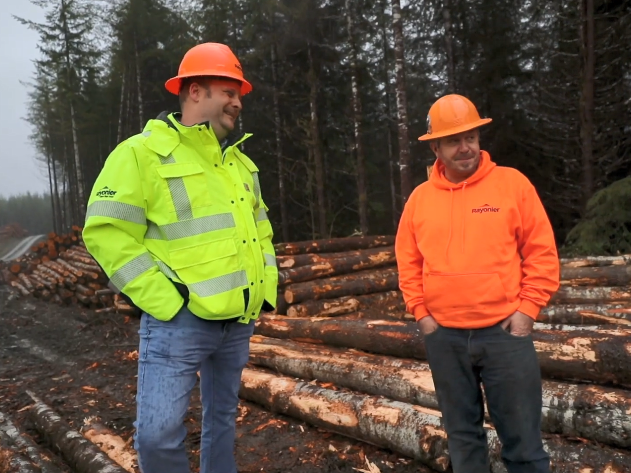 Two people in high-vis clothing and hard hats talking by piles of cut timber.
