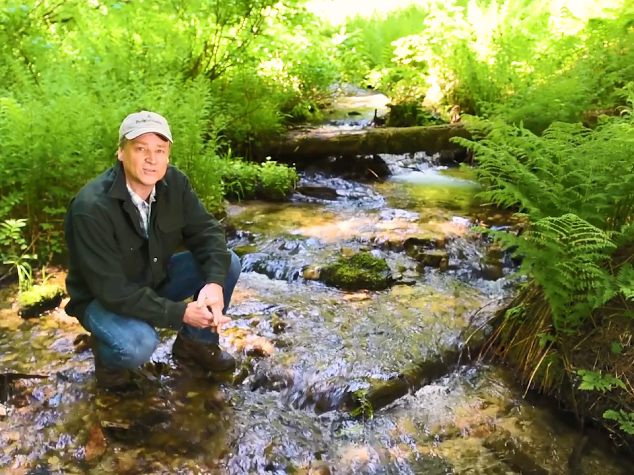 A person crouched down in a creek