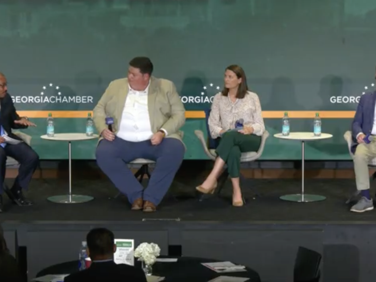 Innovations in Georgia Forestry panel