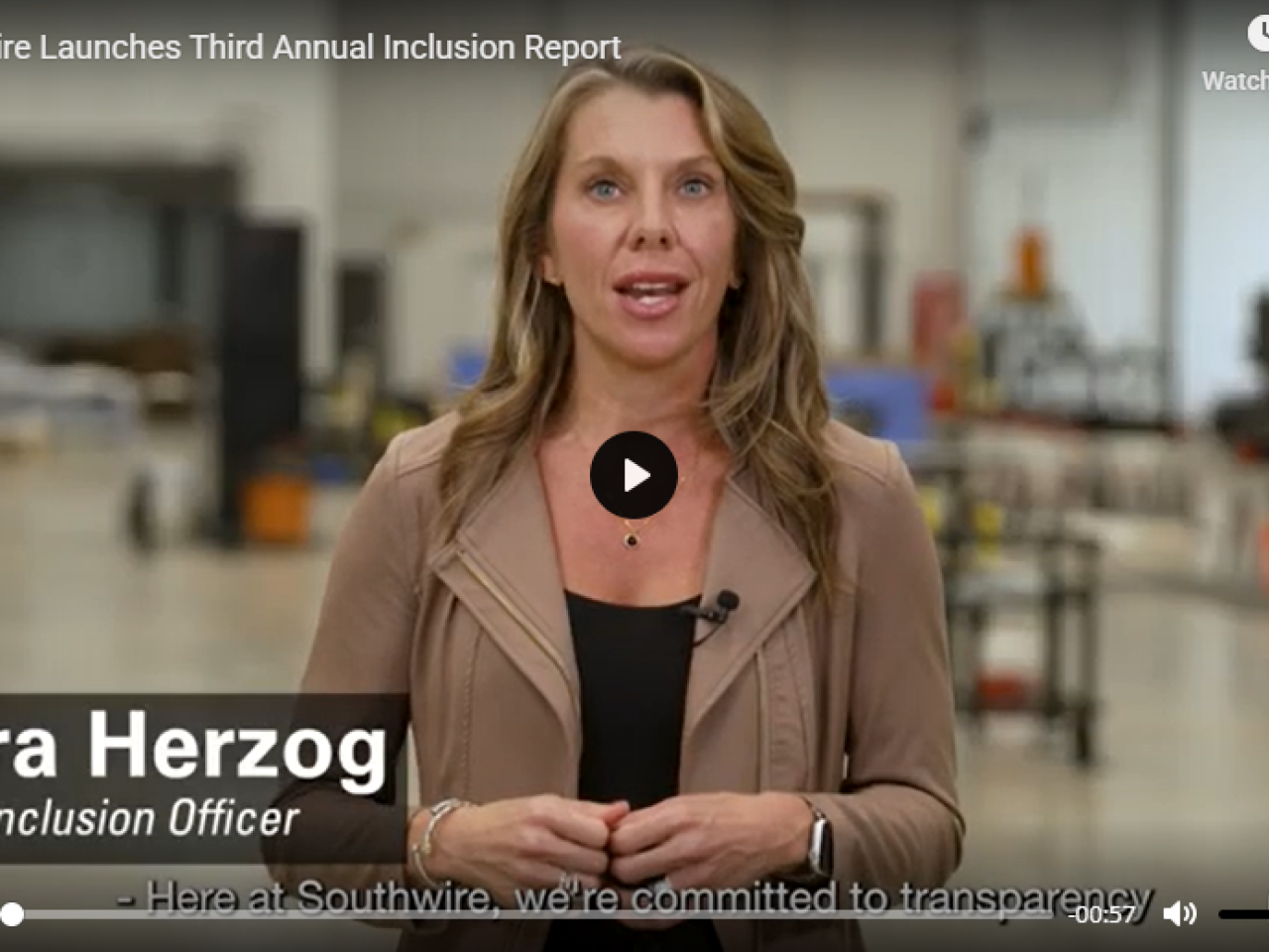 Image of Southwire's Chief Inclusion Officer, Cara Herzog