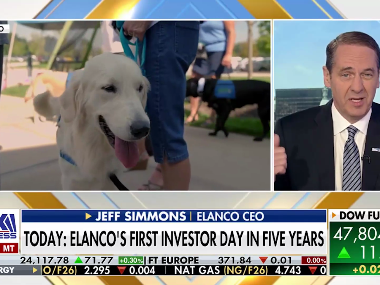 still image from news segment