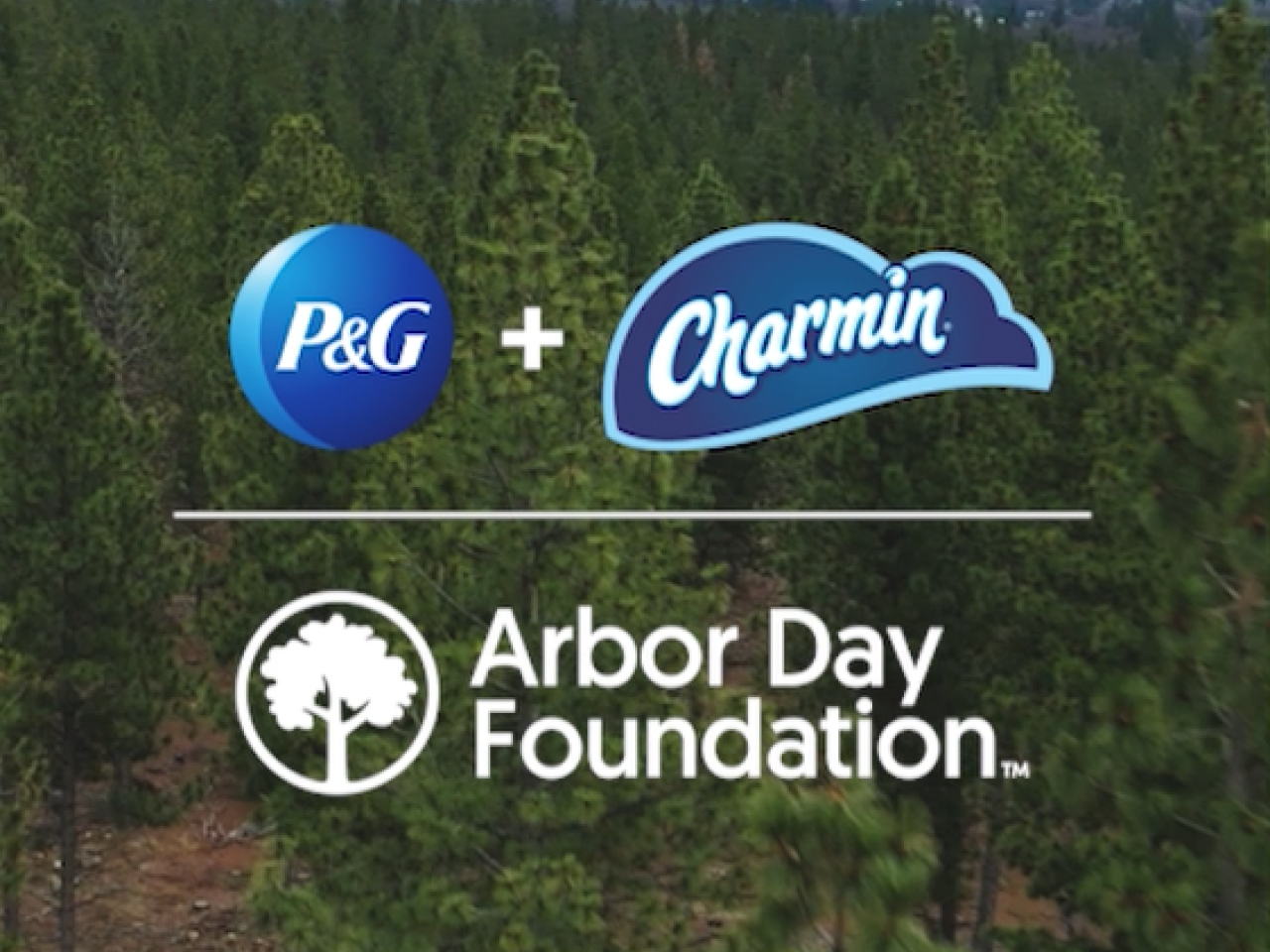 Charmin and P&G Partnered with the Arbor Day Foundation