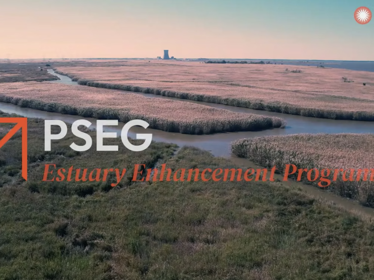 PSEG Estuary Enhancement Program