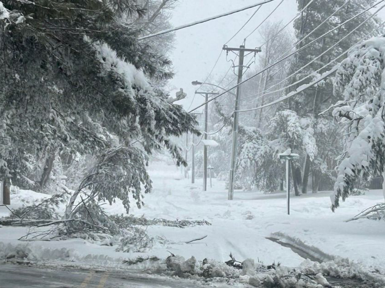 A snowy street with downed trees