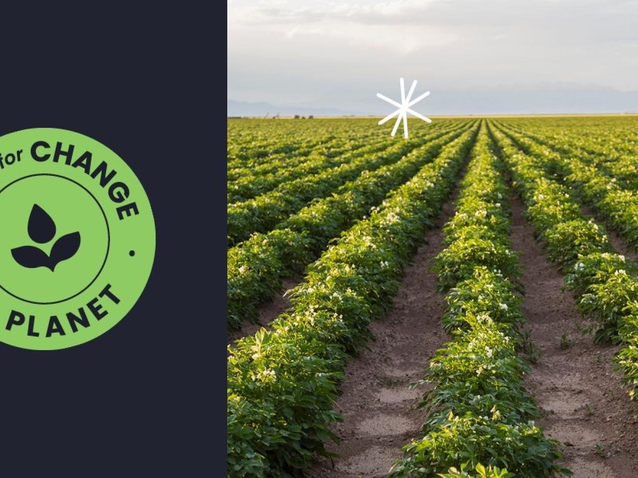 Albertsons' Recipe for Change Planet logo next to a picture of rows of crops.