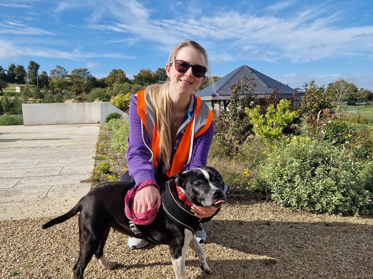 Volunteering at DSPCA