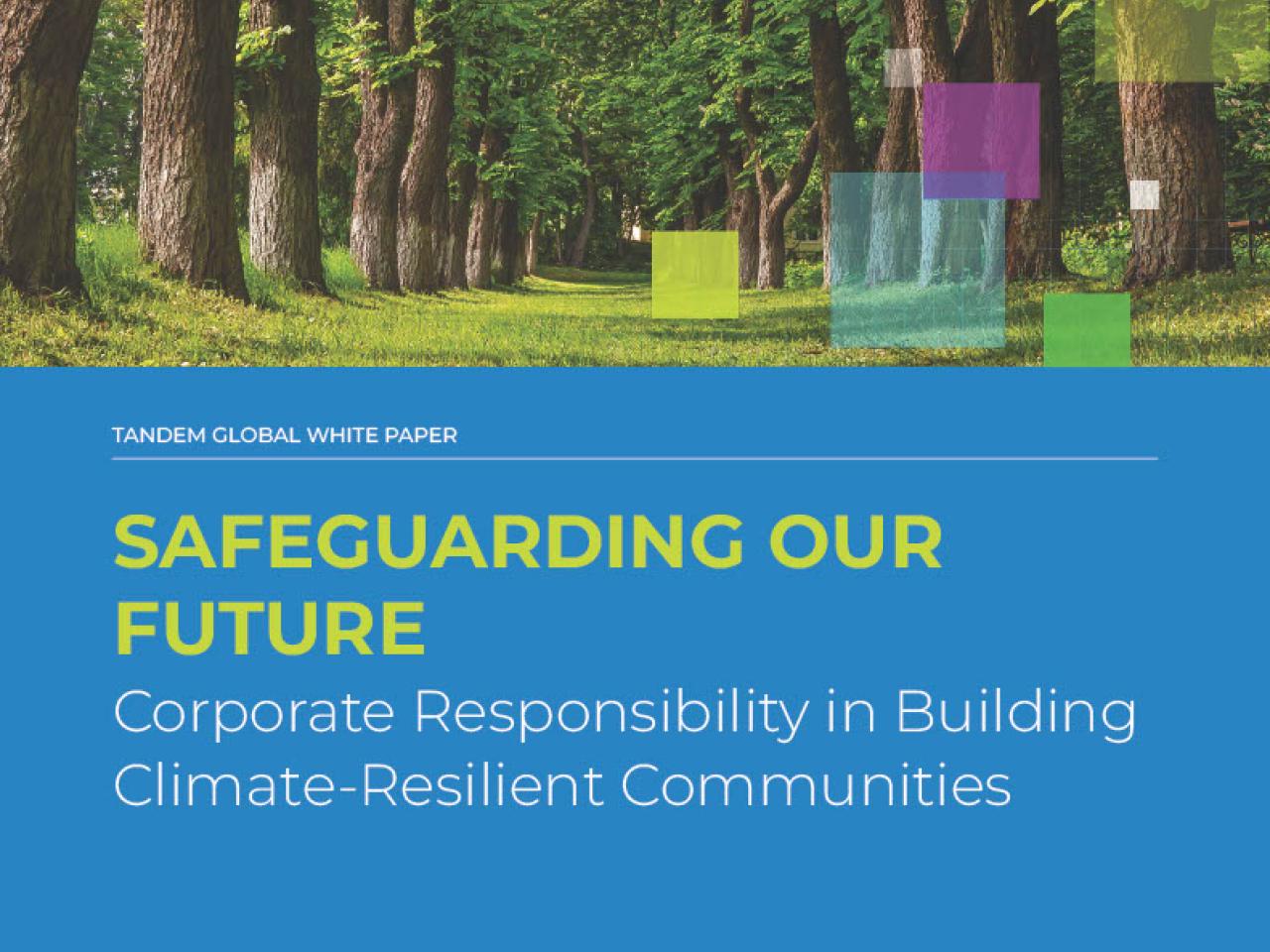  New White Paper from Tandem Global 