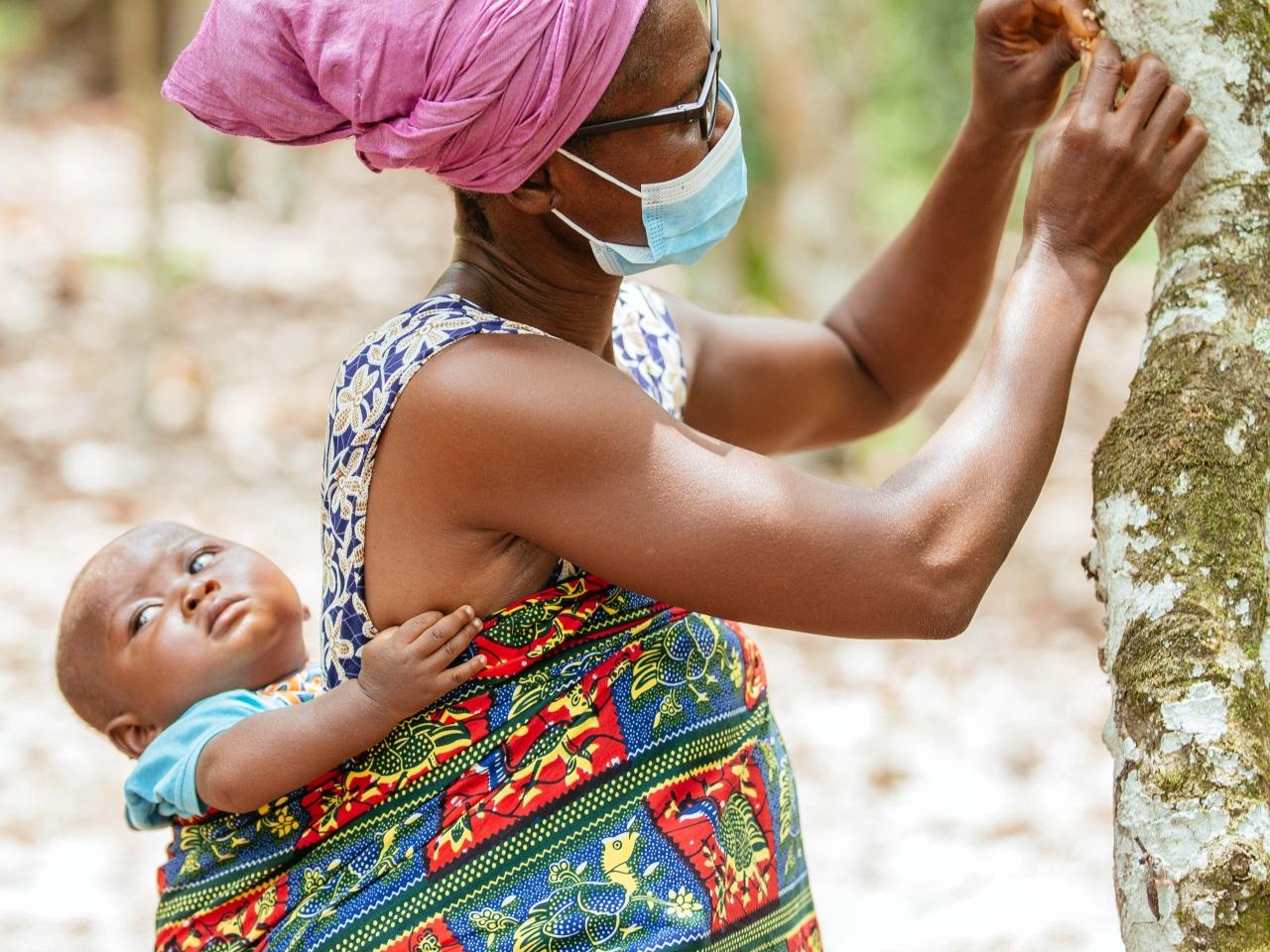 Cocoa farmer Regina Quayson (50) hand-pollinating a tree wearing VisionSpring eyeglasses. Hand-pollination is not possible without clear vision, and it increases yield by 110%.