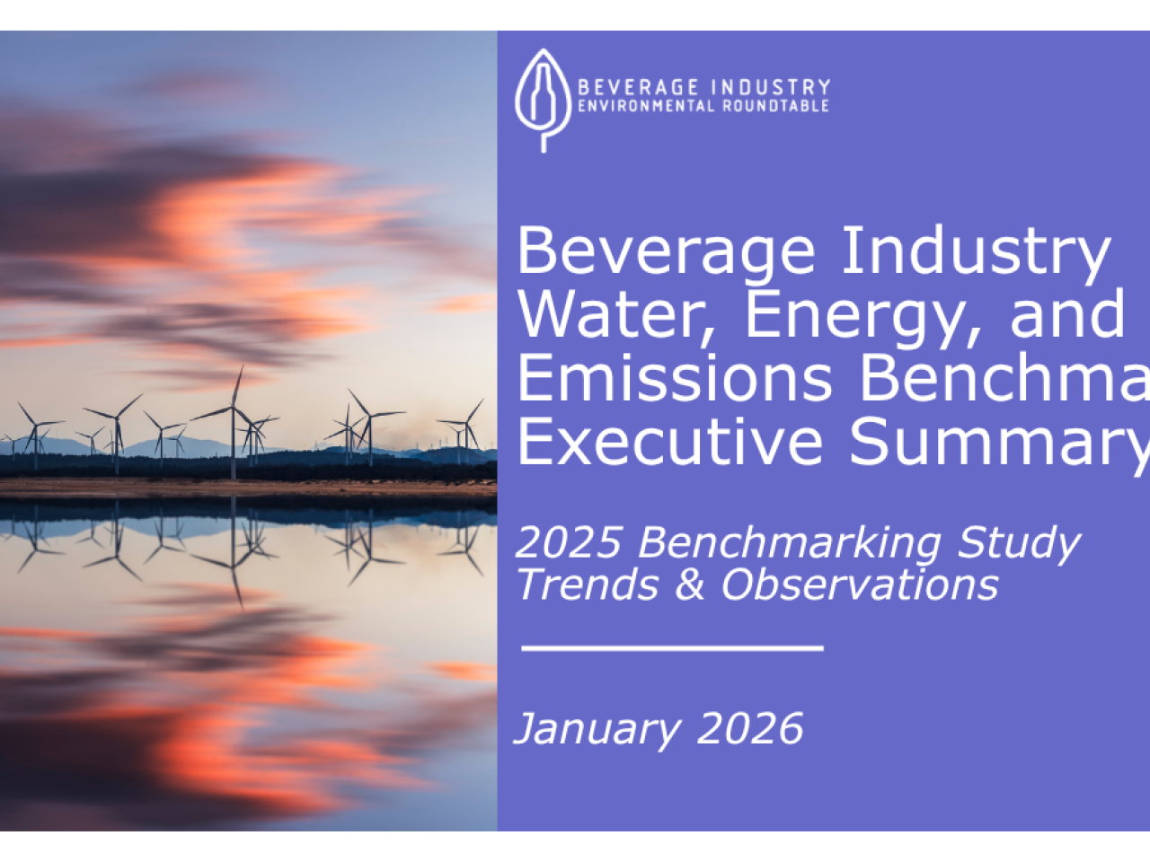 BIER 2025 Benchmarking Study