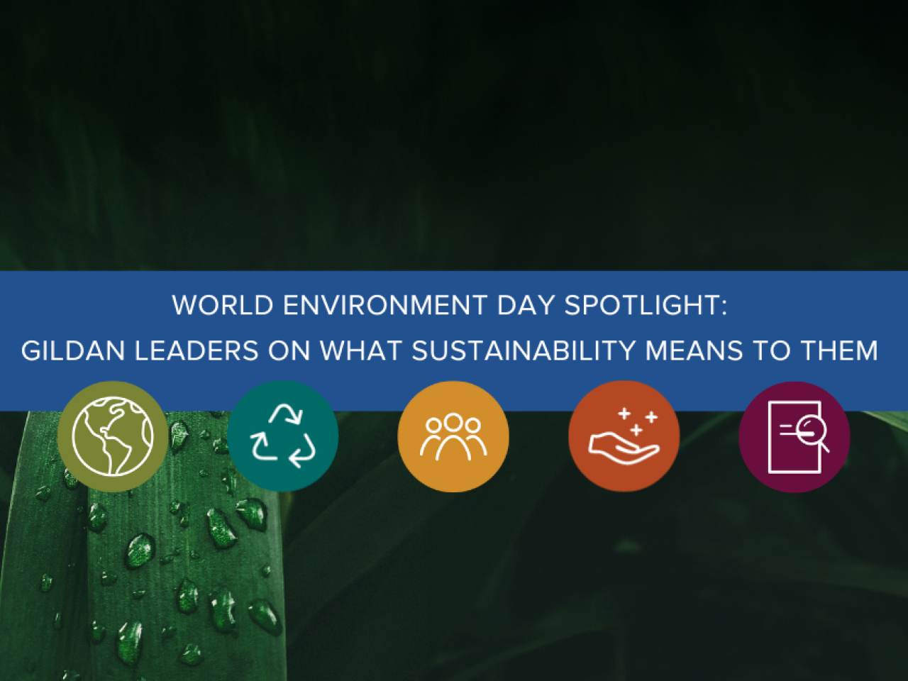 "World Environment Day Spotlight: Gildan Leaders on What Sustainability Means to Them" text on a backdrop featuring fresh leaves, and Gildan's five ESG icons