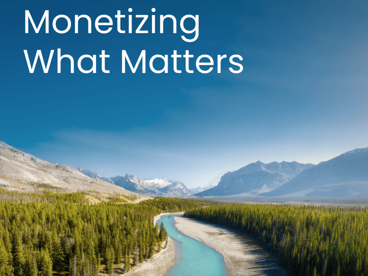 Monetizing What Matters
