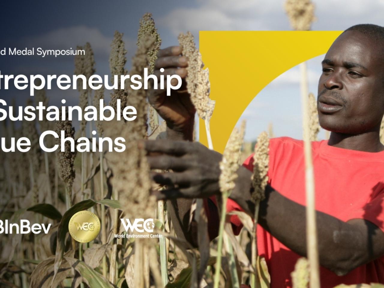 "Entrepreneurship in Sustainable Value Chains"