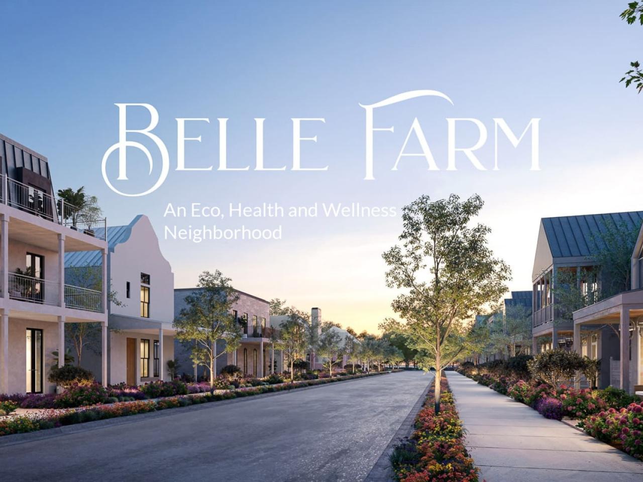 Belle Farm - main street rendering