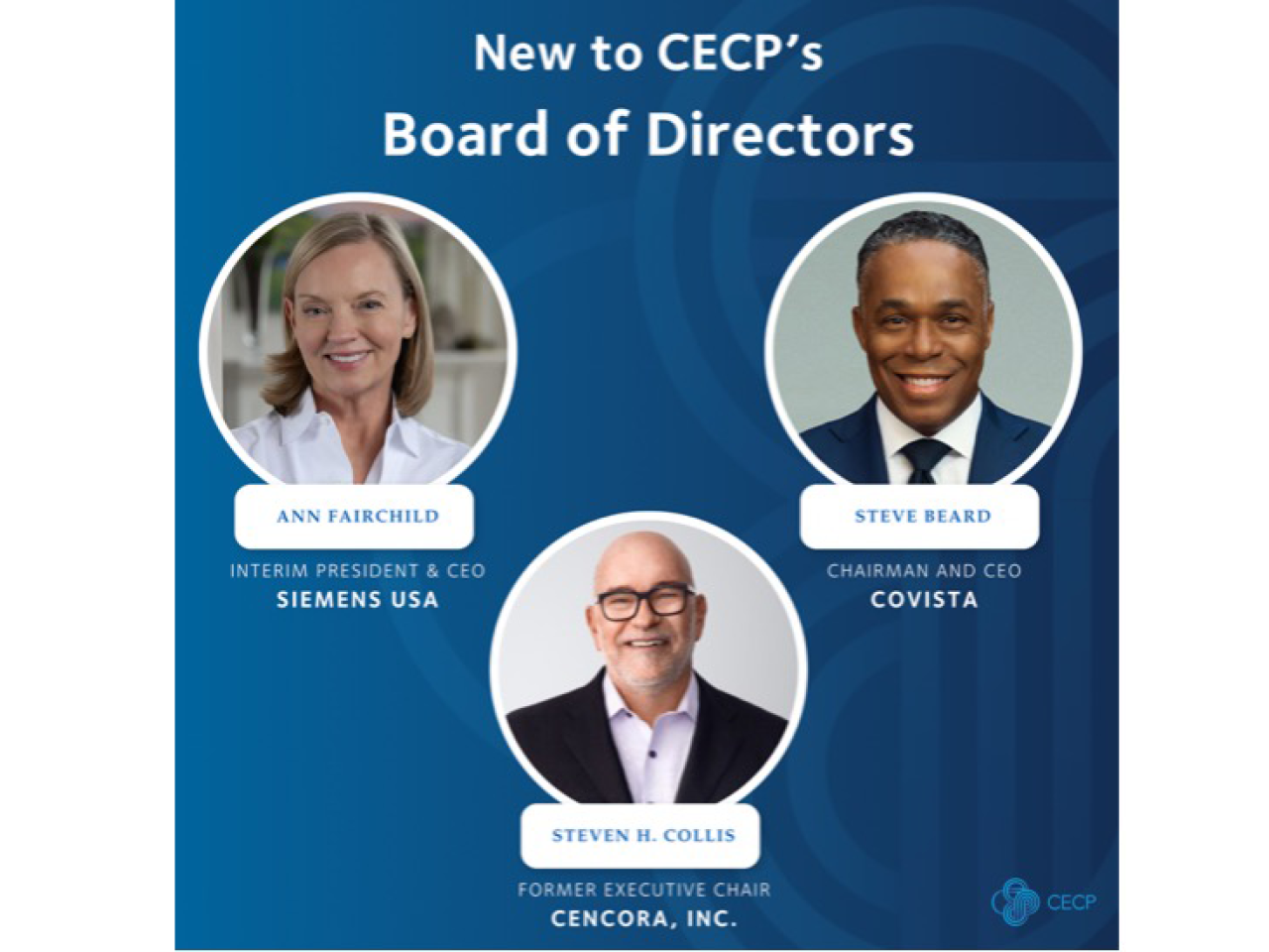 Image of board members Ann Fairchild, Siemens USA, Steven Collie Cencora and Steve Beard Covista