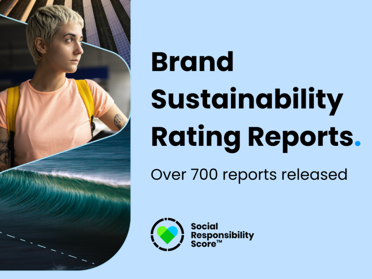 "Brand Sustainability Rating Reports." Cover